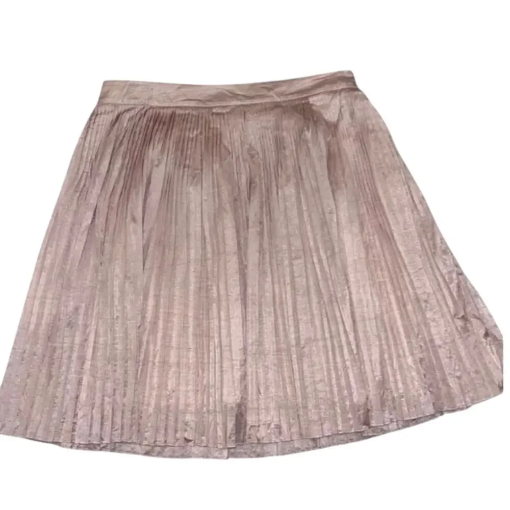 Club Monaco Blush Metallic Pleated Skirt Sz 10 Balletcore Quiet Luxury Coquette - Picture 7 of 10